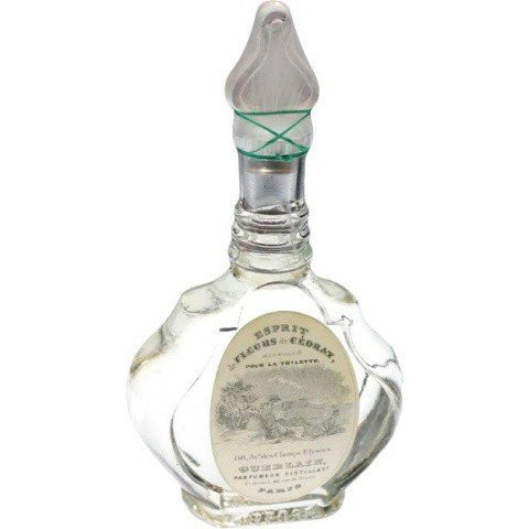 Esprit de Fleurs de Cédrat